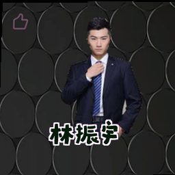 林振宇